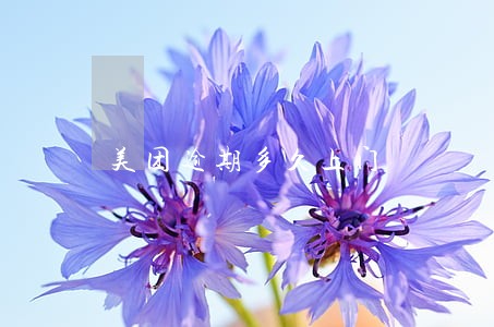 美团逾期多久上门 美团逾期多久上门