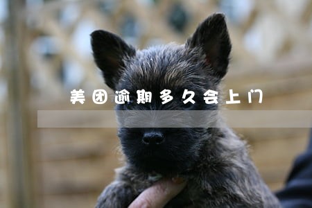 美团逾期多久会上门 美团逾期多久会上门