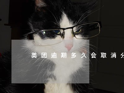 美团逾期多久会取消分期 美团逾期多久会取消分期