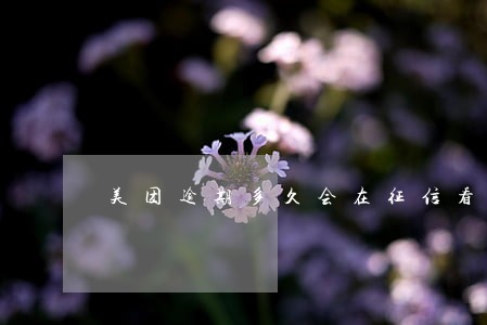 美团逾期多久会在征信看到 美团逾期多久会在征信看到