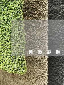 美团逾期多久会成为失信人 美团逾期多久会成为失信人