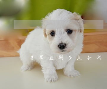 美团逾期多久会找上门 美团逾期多久会找上门