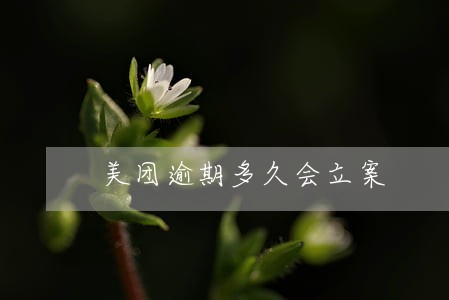 美团逾期多久会立案 美团逾期多久会立案