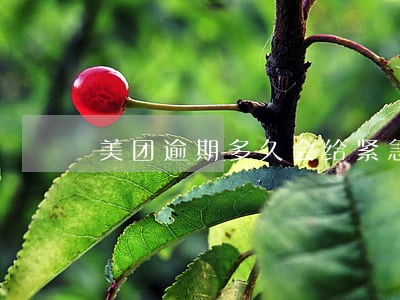 美团逾期多久会给紧急联系人 美团逾期多久会给紧急联系人