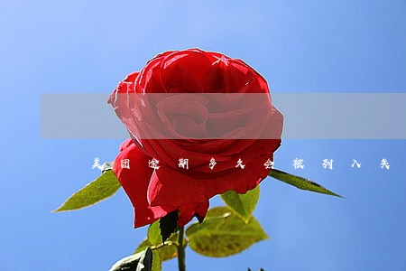 美团逾期多久会被列入失信名单 美团逾期多久会被列入失信名单