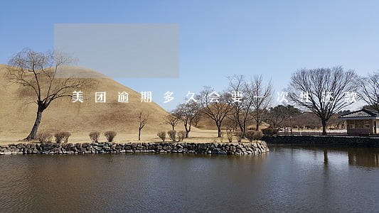 美团逾期多久会要一次性还款 美团逾期多久会要一次性还款