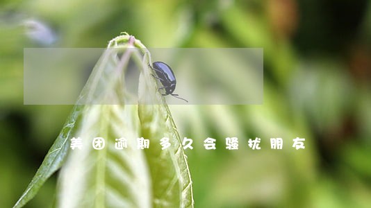 美团逾期多久会骚扰朋友 美团逾期多久会骚扰朋友