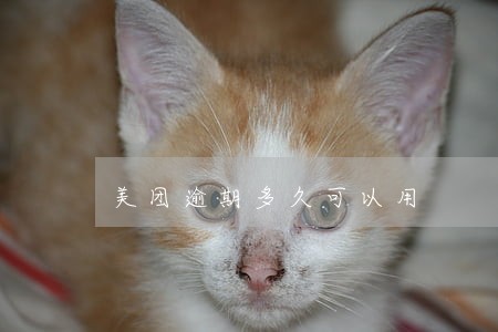 美团逾期多久可以用 美团逾期多久可以用