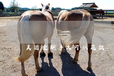 美团逾期多久可以还款 美团逾期多久可以还款