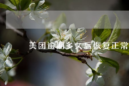 美团逾期多久后恢复正常 美团逾期多久后恢复正常