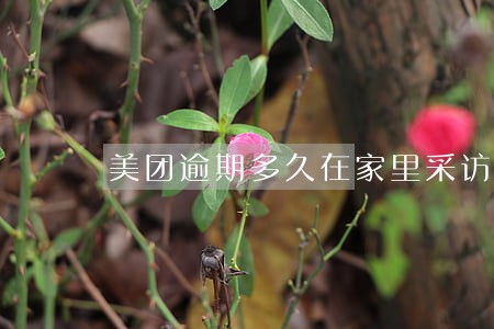 美团逾期多久在家里采访 美团逾期多久在家里采访