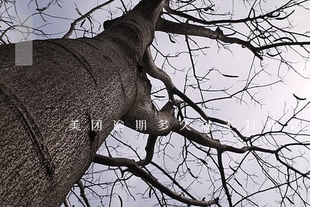 美团逾期多久就不打电话了 美团逾期多久就不打电话了