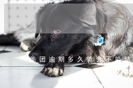 美团逾期多久就会不能结款 美团逾期多久就会不能结款