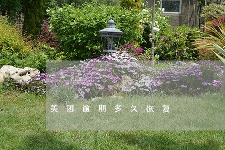 美团逾期多久恢复 美团逾期多久恢复