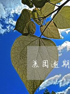 美团逾期多久恢复正常 美团逾期多久恢复正常