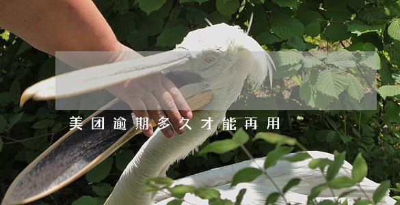 美团逾期多久才能再用
