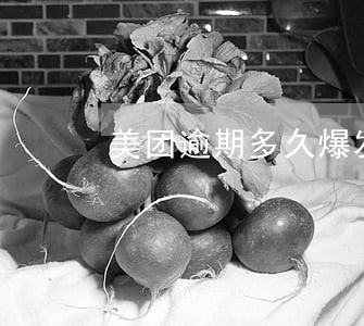 美团逾期多久爆发 美团逾期多久爆发