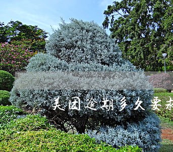 美团逾期多久要求全款 美团逾期多久要求全款