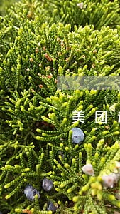 美团逾期多少天会打电话 美团逾期多少天会打电话