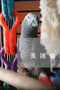 美团逾期多长时间打电话