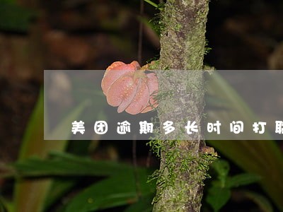 美团逾期多长时间打联系人