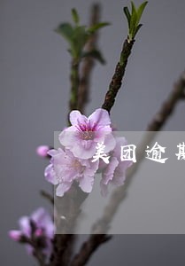 美团逾期如何办理 美团逾期如何办理