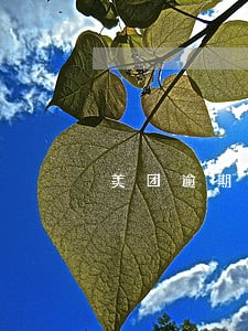 美团逾期如何最低还款