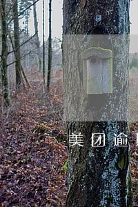 美团逾期威胁取消分期 美团逾期威胁取消分期