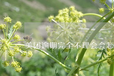美团逾期完全不理会会怎样