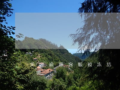 美团逾期客服被冻结