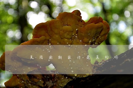 美团逾期家访是真的吗