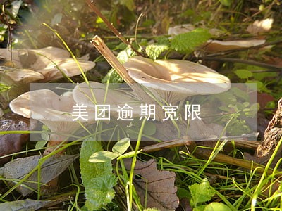 美团逾期宽限 美团逾期宽限