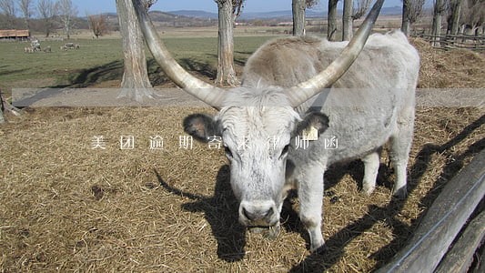 美团逾期寄来律师函 美团逾期寄来律师函