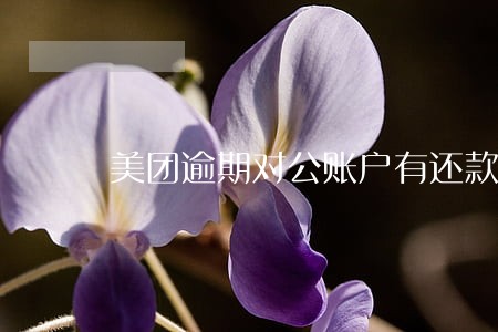 美团逾期对公账户有还款成功的吗 美团逾期对公账户有还款成功的吗