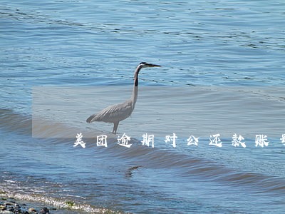 美团逾期对公还款账号 美团逾期对公还款账号
