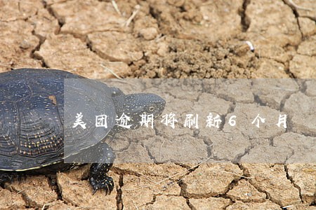 美团逾期将刷新6个月 美团逾期将刷新6个月