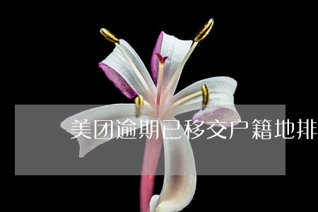 美团逾期已移交户籍地排期