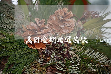 美团逾期延迟换款 美团逾期延迟换款