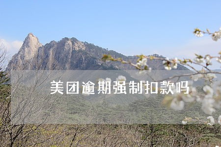 美团逾期强制扣款吗 美团逾期强制扣款吗