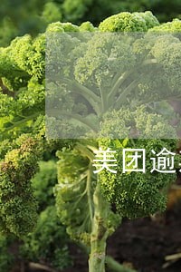 美团逾期当地工作人员上门要全款 美团逾期当地工作人员上门要全款