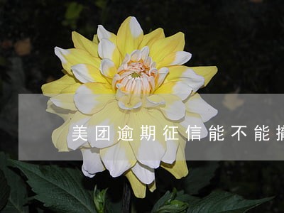 美团逾期征信能不能撤销 美团逾期征信能不能撤销