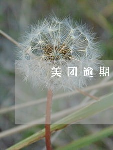 美团逾期律师 美团逾期律师