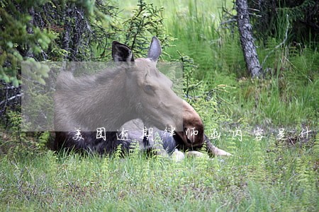美团逾期律师函内容是什么 美团逾期律师函内容是什么
