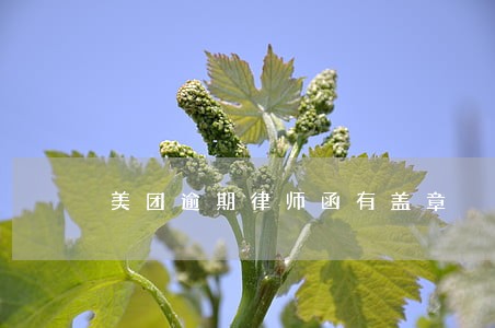 美团逾期律师函有盖章 美团逾期律师函有盖章