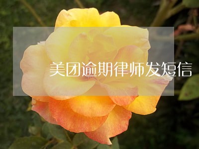美团逾期律师发短信 美团逾期律师发短信