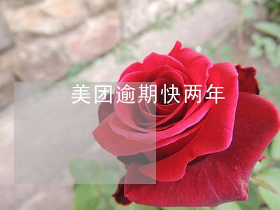 美团逾期快两年 美团逾期快两年