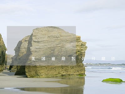 美团逾期怎么分期还 美团逾期怎么分期还