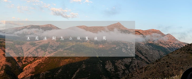 美团逾期怎么恢复使用 美团逾期怎么恢复使用