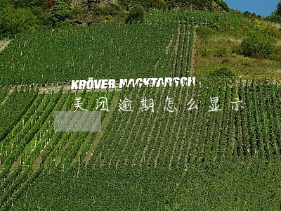 美团逾期怎么显示
