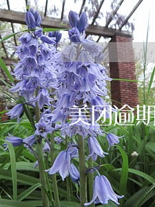 美团逾期怎么查看紧急联系人 美团逾期怎么查看紧急联系人
